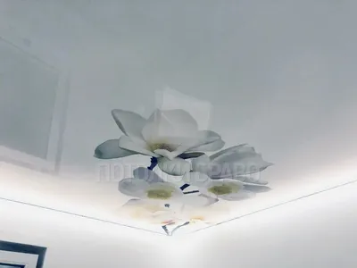 Фотопечать на натяжном потолке: цветы, белые орхидеи. Лиски |  liskipotolki.ru