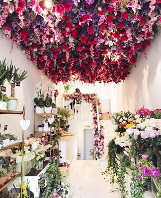 Цветы на потолке | Instagram
