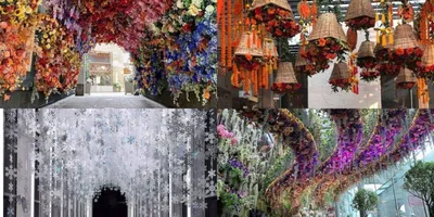 Цветы бывают и на потолке 😉 вот ведь какие, пробиваются сквозь щели и  распускаются 💛🌸💛 | Flowers instagram, Flowers, Instagram