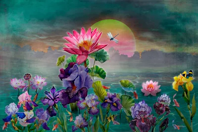 Закат / цветы на закате / Автор: Vadim So
