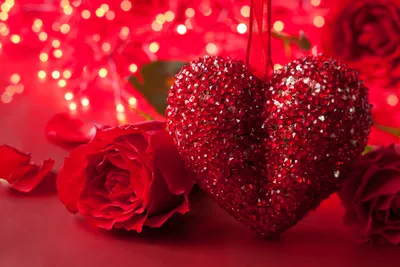 Фотография День всех влюблённых серце Розы Цветы Праздники 5616x3744