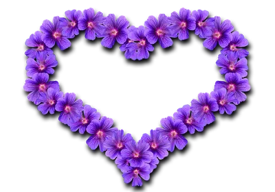 Сердце Цветы Любовь - Бесплатное изображение на Pixabay - Pixabay