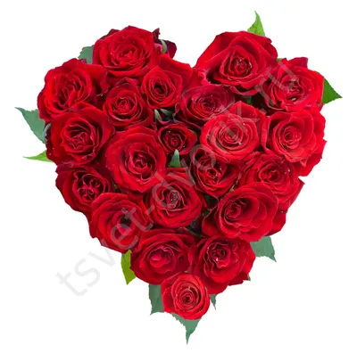 Букет-сердце из 31, 43 роз - купить с доставкой от ElitBuket