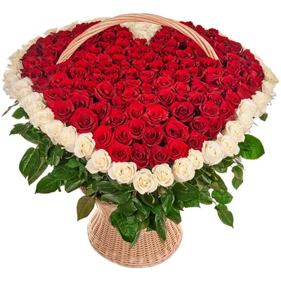 Сердце матери - Эне журогу❤️❤️❤️... - Комнатные цветы Бишкек | Facebook