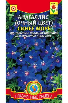 Пион древовидный Глубокое синее море с доставкой! 🌱 [751269]