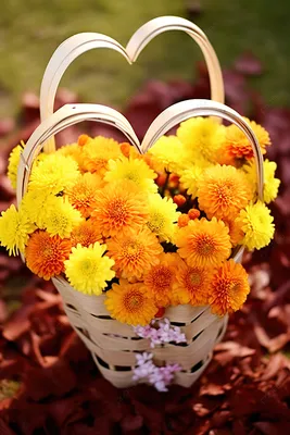 Купить Raffaello и цветы в коробке в виде сердца в Москве с доставкой  недорого