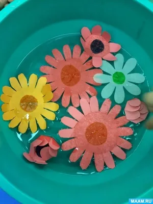 Цветы плавающие в воде цветы плавающие в воде в течение дня Фон И картинка  для бесплатной загрузки - Pngtree