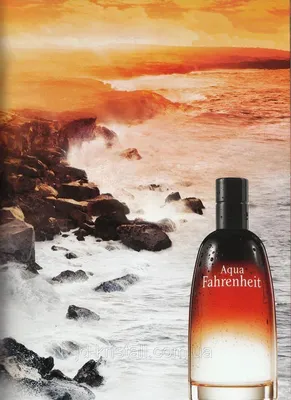 CD Fahrenheit Eau de Toilette туалетная вода 100 ml. (Фаренгейт Еау де  Туалет) (ID#1224085799), цена: 2724 ₴, купить на Prom.ua