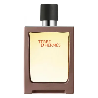 Парфюм Hermes Terre d`Hermes (50 мл, Туалетная вода)