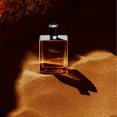 Туалетная вода Hermes Terre d'Hermes Eau De Toilette для мужчин (оригинал),  1.ex1848, купити