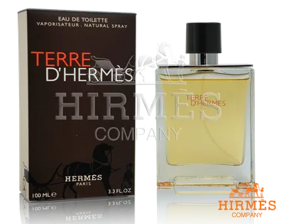 Туалетная вода Hermes Terre D'hermes/Гермес 100мл Парфюм 170081765 купить  за 6 006 ₽ в интернет-магазине Wildberries