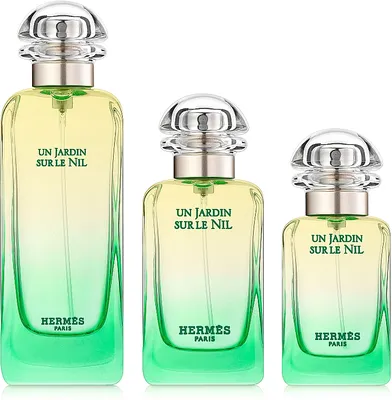 Купить Hermes H24 Eau De Toilette туалетная вода 50 мл в интернет-магазине  парфюмерии parfum.kh.ua | Цены | Описание