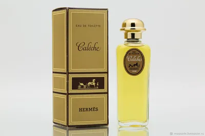 Туалетная вода Hermes Eau des Merveilles Bleue, 100 мл - Ksenukai.lv