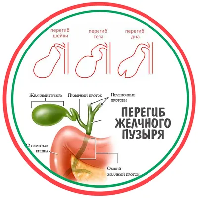 ПРОФИЛАКТИКА ТУБЕРКУЛЕЗА У ДЕТЕЙ | ГБУЗ Республики Мордовия «Детская  поликлиника № 3»