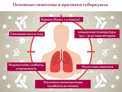 Микобактерии туберкулеза - Что это такое, характеристики