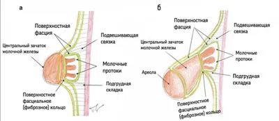 Клиника на Чайковского, 4А