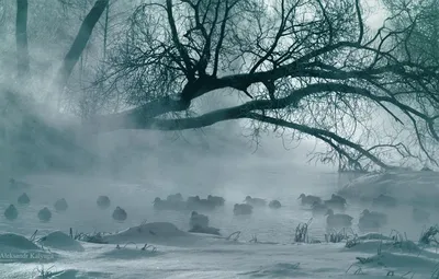 Фото жизнь - Татьяна Павлова - корневой каталог - Белые росы Туман над рекой