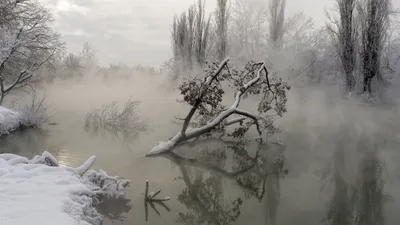 Фотографія Этот зыбкий туман над рекой… / Ігор Марценюк / photographers.ua