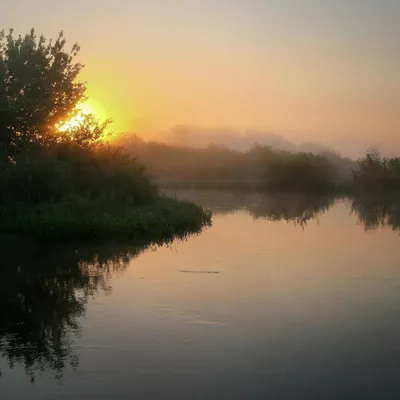 Туман над водой. Photographer Plehanov Aleksandr