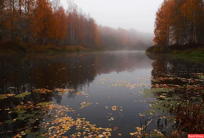 Снимаем туман над рекой! | Le-Photo | Дзен