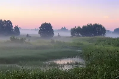 Туман над рекой / фото