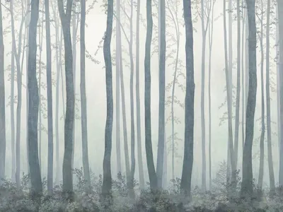 Fog in the winter forest. | Туман в зимнем лесу. | Александр Рыбак | Flickr