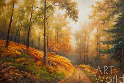 Обои лес, туман, деревья, осень, пейзаж картинки на рабочий стол, фото  скачать бесплатно