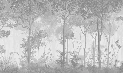 Туманный лес обои для рабочего стола, картинки и фото - RabStol.net