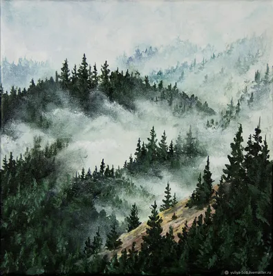 Туманный лес обои - 56 фото