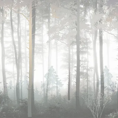 Купить картину маслом Туманный лес от 5710 руб. в галерее DasArt