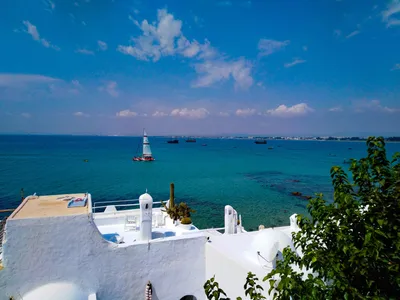 Четыре причины отправить туриста в Тунис | Статьи по туризму от Турпрома