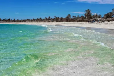 Тунис Средиземное Море Берег - Бесплатное фото на Pixabay - Pixabay