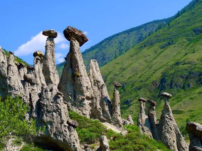 База отдыха Сердце Алтая - Алтайский край (Официальный сайт, цены, фото,  отзывы)