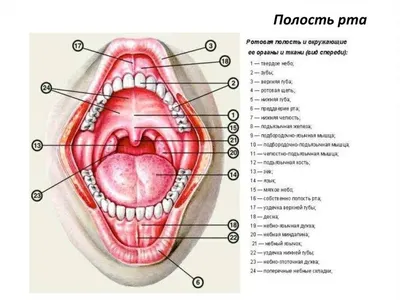 Мыло туалетное твердое 'ШИК' (Седьмое небо)