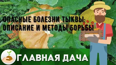 Статуэтка Тыква Улоу с пионами бронза желтая