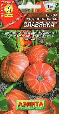 Оранжевая осень. Врач рассказала, кому противопоказана тыква | Правильное  питание | Здоровье | Аргументы и Факты