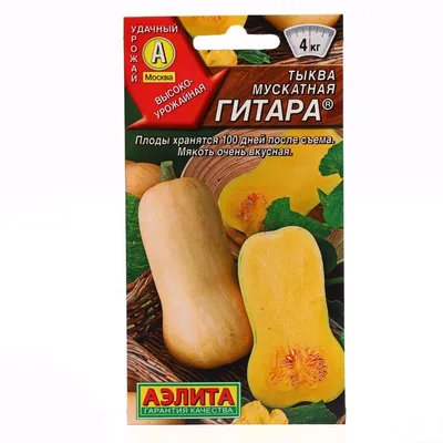 Семена тыквы «Испанская гитара», TM OGOROD - 100 семян купить недорого в  интернет-магазине семян OGOROD.ua