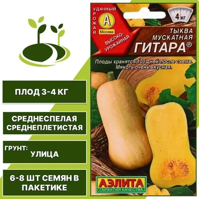 Семена Тыква Гитара, на кашу, 10 г (ID#1350360792), цена: 15 ₴, купить на  Prom.ua
