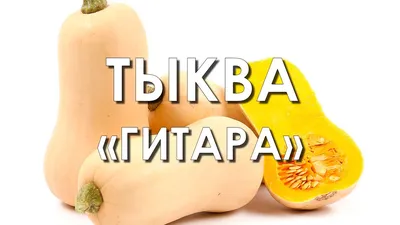Семена Тыква мускатная \"Гитара\", 2 упаковки + 2 Подарка — купить в  интернет-магазине по низкой цене на Яндекс Маркете