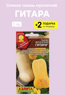 Тыква: что нужно знать о главном овоще осени - Dnepr.com - Головний портал  новин Дніпра