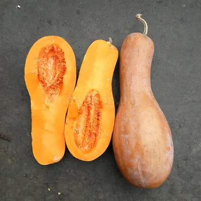 Оранжевое наслаждение: как приготовить три необычных блюда из тыквы |  Інформатор Кривий Ріг