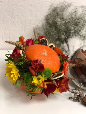 Цветной осенний букет с цветами в тыкве Стоковое Фото - изображение  насчитывающей листья, завод: 160965452