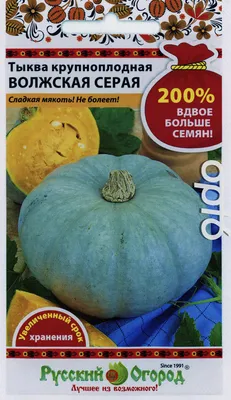 Купить семена Тыква Волжская серая 92 в Минске и почтой по Беларуси
