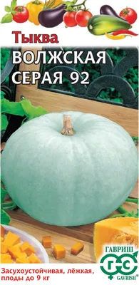 Семена Агрони Тыква ВОЛЖСКАЯ СЕРАЯ 92 4834 - выгодная цена, отзывы,  характеристики, фото - купить в Москве и РФ