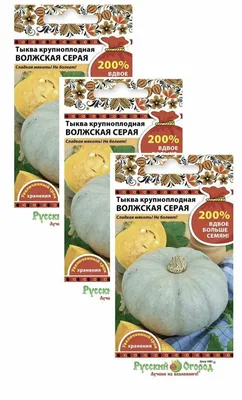 Семена тыквы ГАВРИШ Волжская серая 2 г — цена в Бузулуке, купить в  интернет-магазине, характеристики и отзывы, фото