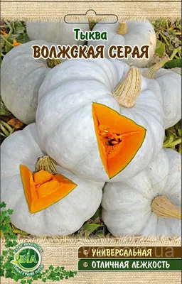 Тыква ВОЛЖСКАЯ СЕРАЯ 0,5 кг. ✔️ 188 грн. ᐉ Семена овощей в Одессе на BON.ua  70174664