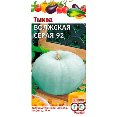 Семена Тыква \"Волжская серая 92\" купить по цене 49 ₽ в интернет-магазине  KazanExpress