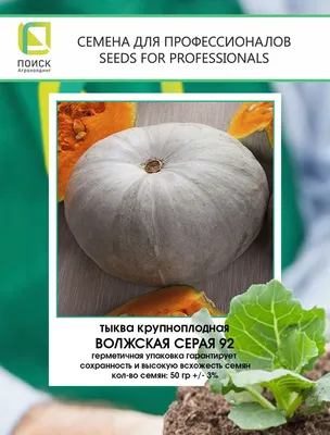 Семена Тыква Волжская серая 10 г купить в Украине с доставкой | Цена в  Svitroslyn.ua