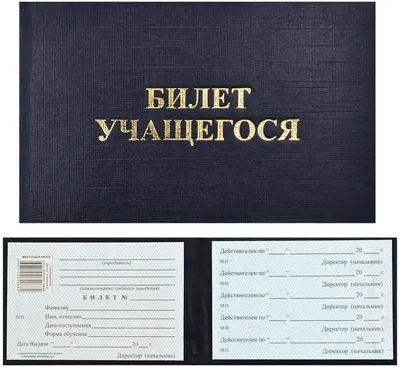 Билет ученический, 10,5х7х0,5 см, синий цвет, Аркуш – купить оптом в  интернет-магазине optom-k.com