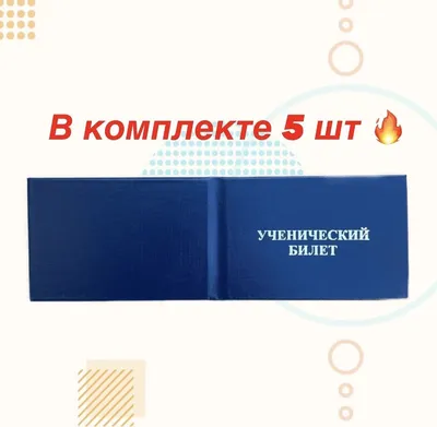 ЕДИНЫЙ УЧЕНИЧЕСКИЙ ПРОЕЗДНОЙ БИЛЕТ, АВГУСТ 2002 ГОДА – Виртуальная  коллекция проездных билетов